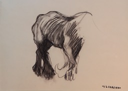 F S Coburn Horse Unframed Final